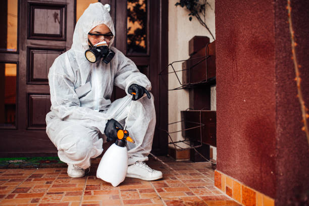 Reliable Cockroach Control contractor in West Point, VA by Nex Pest Control